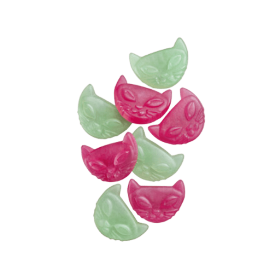 Sweet Cat Candy 50 g (1.76 oz) scoop